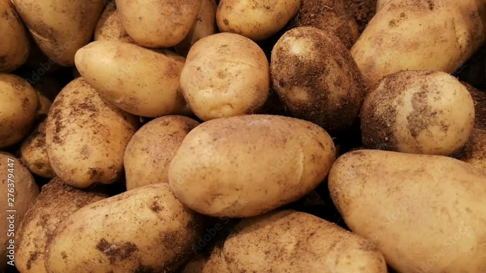 Potatoes on the counter in the market Potatoes on the counter in the market