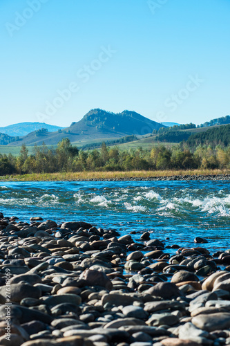 Fast mountain river Charish...