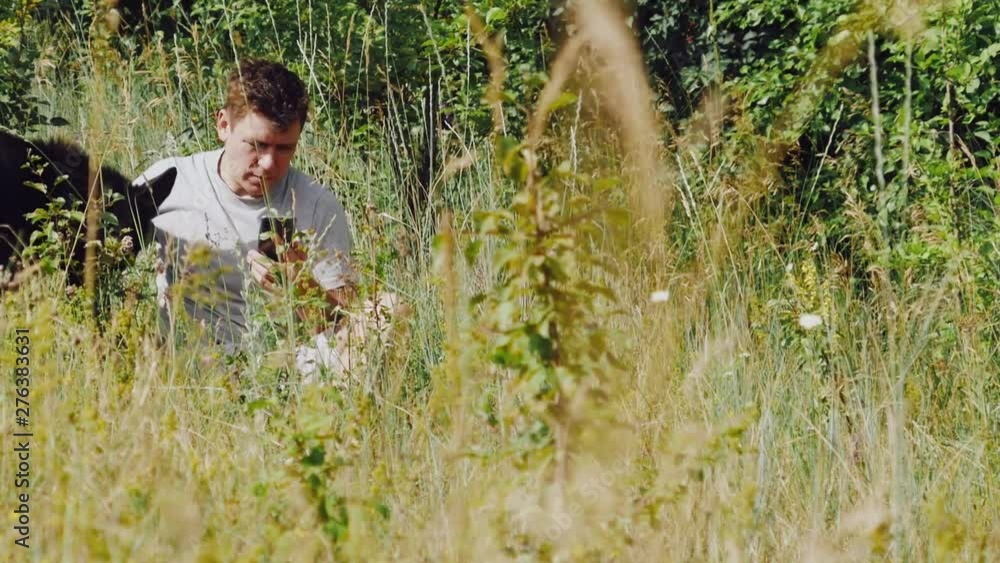 a man throws a stick German shepherd in the meadow and looks at the smartphone. Slow motion a man throws a stick German shepherd in the meadow and looks at the smartphone. Slow motion