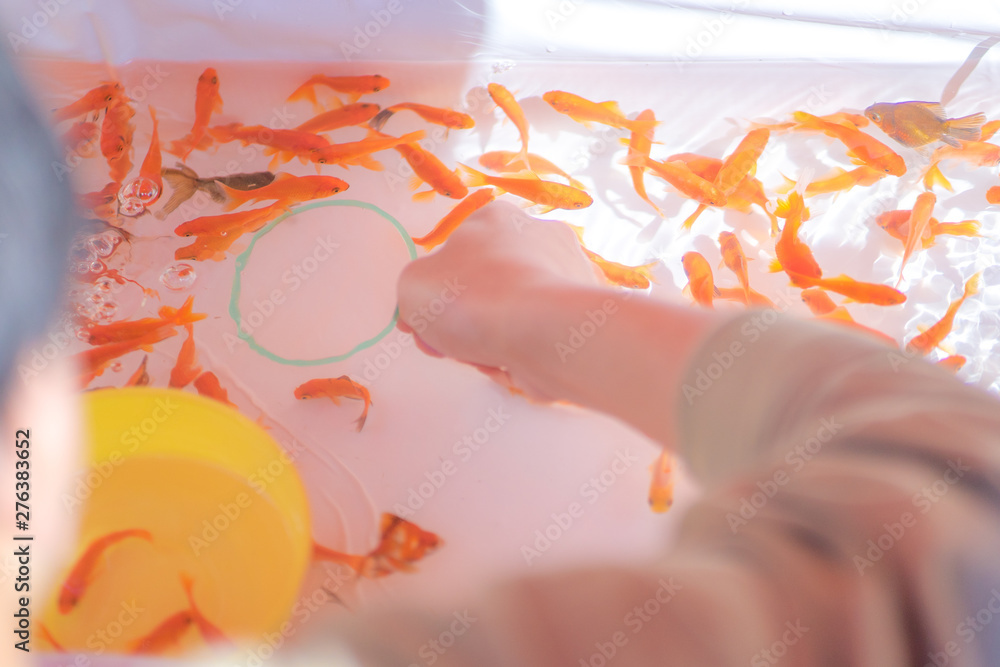 夏祭り 金魚すくい 屋台 Stock 写真 Adobe Stock