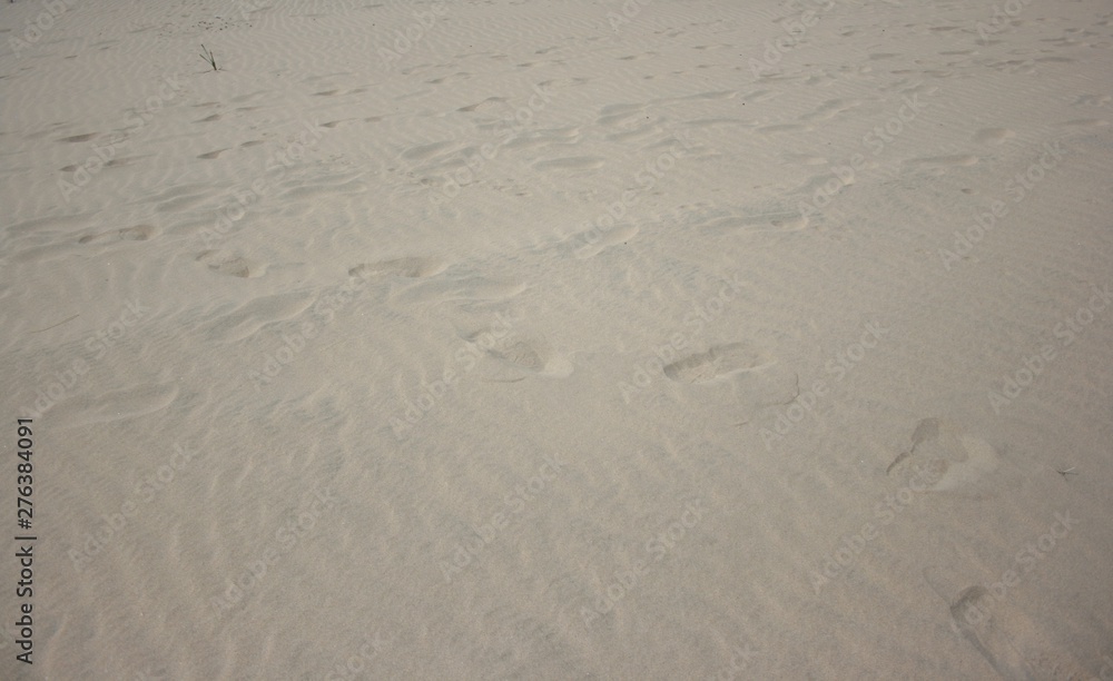 beach with golden sand and dunes beach with golden sand and dunes