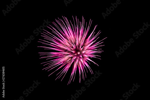 colorful fireworks in the sky