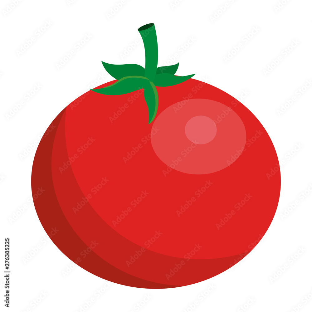 Isolated tomato design vector illustrator Isolated tomato design vector illustrator