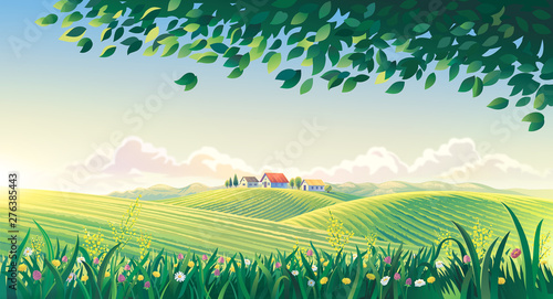 Rural summer landscape with flowers and grass in the foreground. Raster illustration.