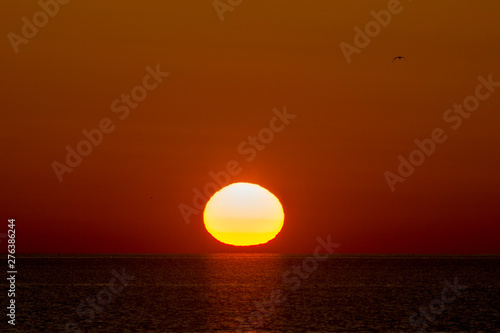 Fototapeta Naklejka Na Ścianę i Meble -  Calm Ocean Sunrise
