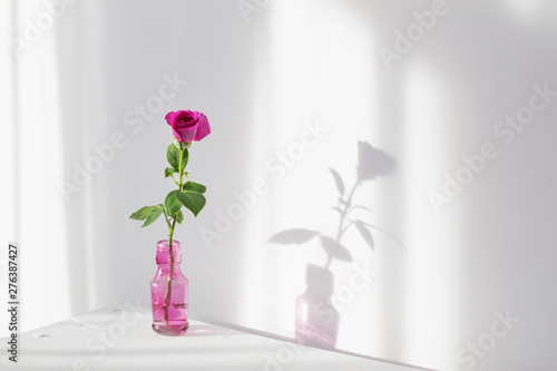 pink rose in glass bottle on white wooden shelf