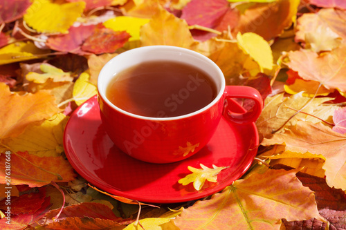 cup of tea on background autumn leaves