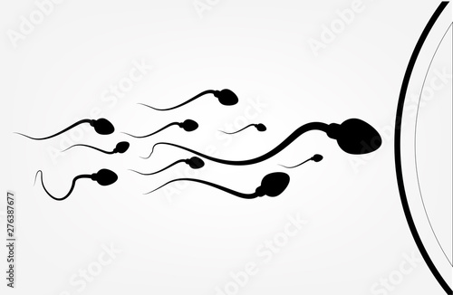 Abstract sperm icon, sperm icon and sperm vector that runs towards the egg. On a white background, competition concept