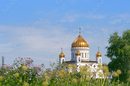 Cathedral of Christ Savior in Moscow, Russia. purple flowers in Gorky Park with view of Christ Savior Cathedral in Moscow. Beautiful orthodox church in summer blooming city and blue sky. copy space
