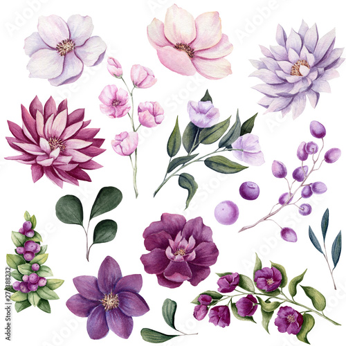 Set of Watercolor Flowers, Berries and Leaves