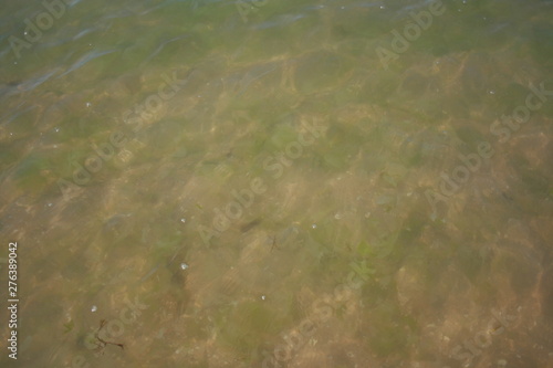 Spanish beach   water with waves at summer