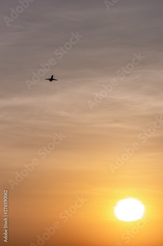 Airplane taking off or landing during sunset