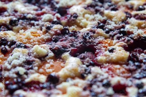 Freshly baked fruit pie by a Slovak recipe called 