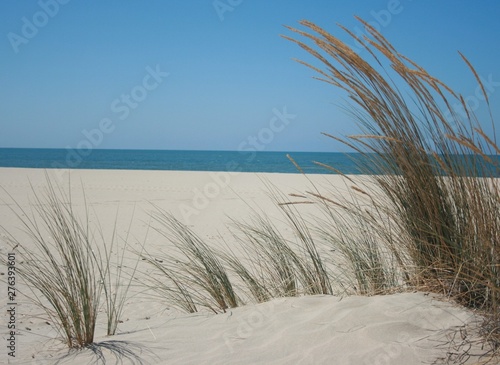 Golden sand at spain beach Huelva