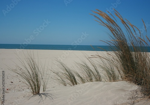 Golden sand beach at spain Huelva