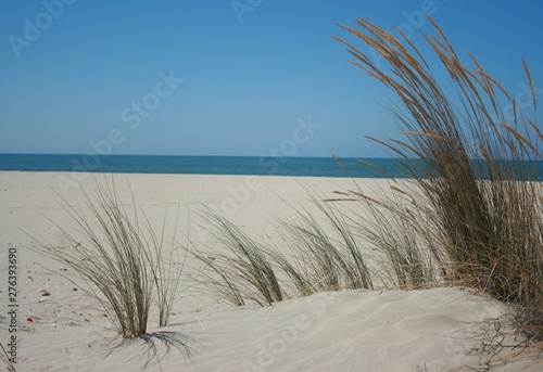 Fototapeta Naklejka Na Ścianę i Meble -  Spanish beach with golden sand and blue sky 