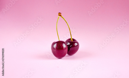 Two sweet cherries with sprigs on a pink background