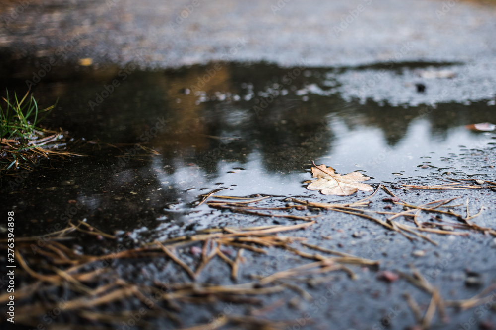 Fototapeta premium lonely dry oak leaf in wet puddle on empty wet asphalt walkway in park, late autumn, sadness and melancholy