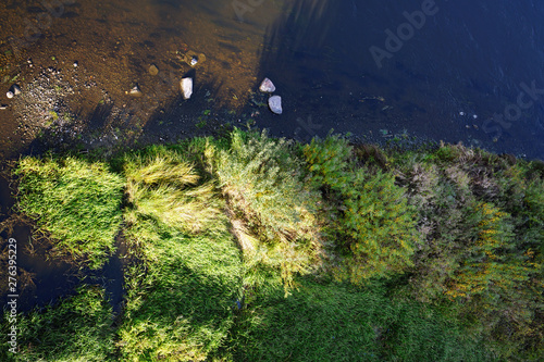 river bank with green plants and bushes, top view on shallow river with large stones photo