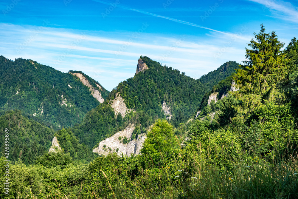 Fototapeta premium Pieniny mountains 9