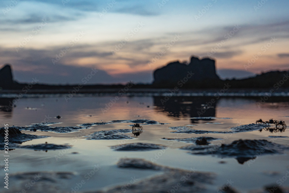 Beautiful beach sunset and crab with island on background, Selective focus at crab