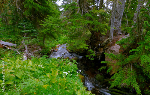 stream in the forest © Дмитрий Чумаков