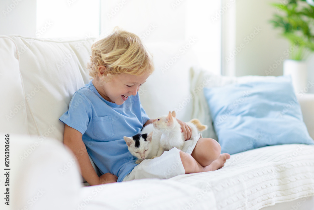 Child playing with baby cat. Kid and kitten. Child playing with baby cat. Kid and kitten.