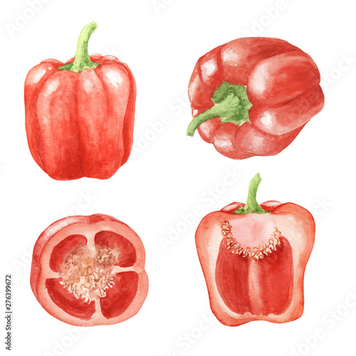 hand painted Watercolor set of paprika vegetable isolated on white background. A piece of red bell pepper, half, slice, whole. Food journal, magazine article, recipe book, menu. Eco, organic food.