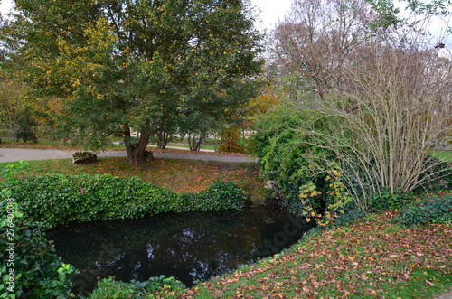 lake in the park