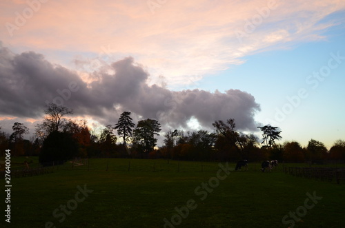 sunset in the countryside