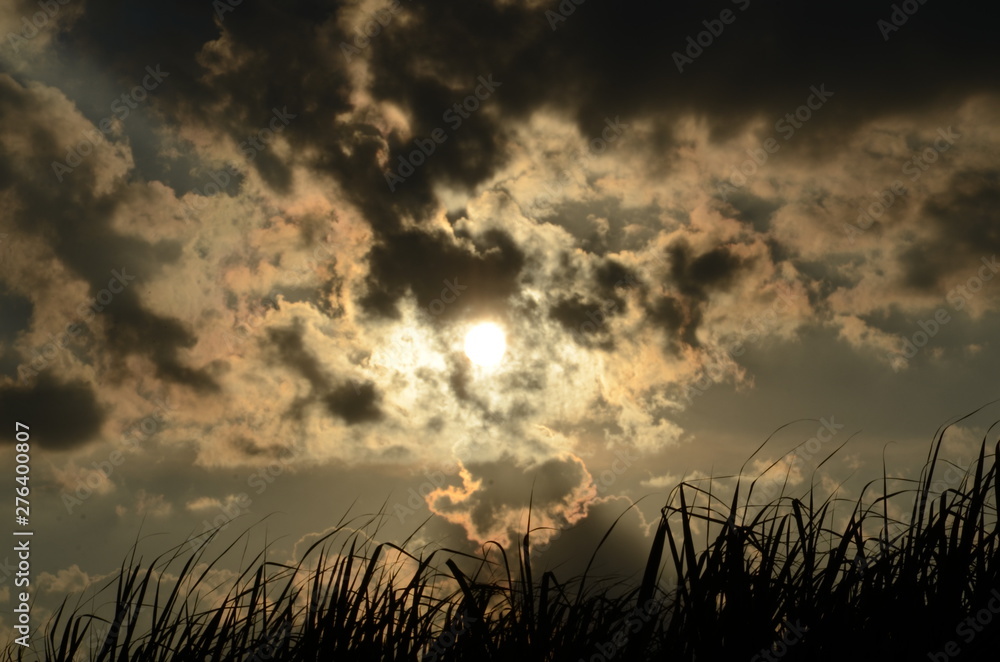 Religião, vegetação, paisagem, por-do-sol, fauna, flora, noite, nuvem, coruja