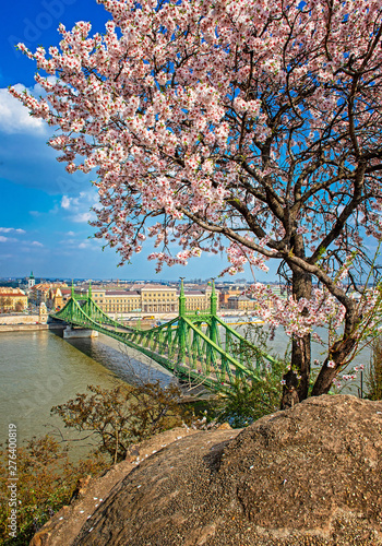 Beautiful Liberty Bridge wi...