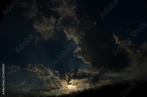 Religião, vegetação, paisagem, por-do-sol, fauna, flora, noite, nuvem, coruja