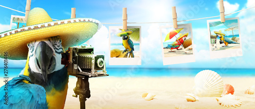 Papagei mit Fotoapparat im Urlaub am Strand © Thaut Images