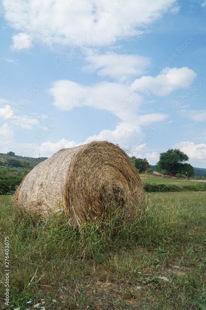 Round straw bales on a field in Tuscany, Italy