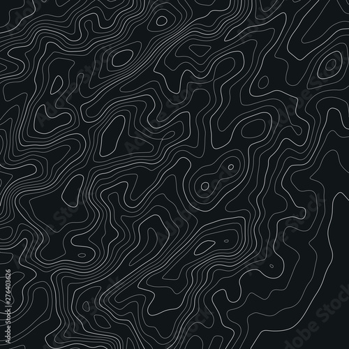 Topographic map lines background. Abstract vector illustration. Contour vector map.