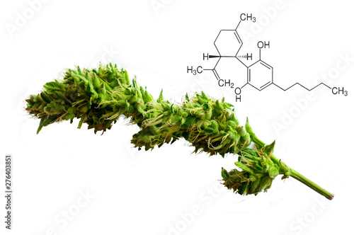 cannabis, producto con alto contenido de CBD