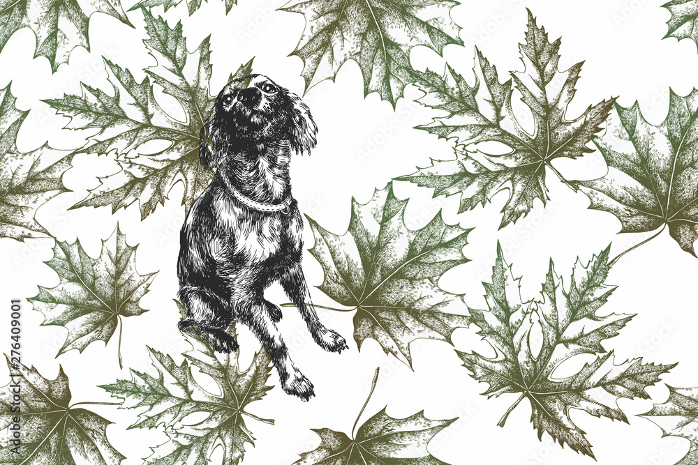 custom made wallpaper toronto digitalDog with maple leaves, autumn seamless pattern. Hand-drawn, vector illustration.