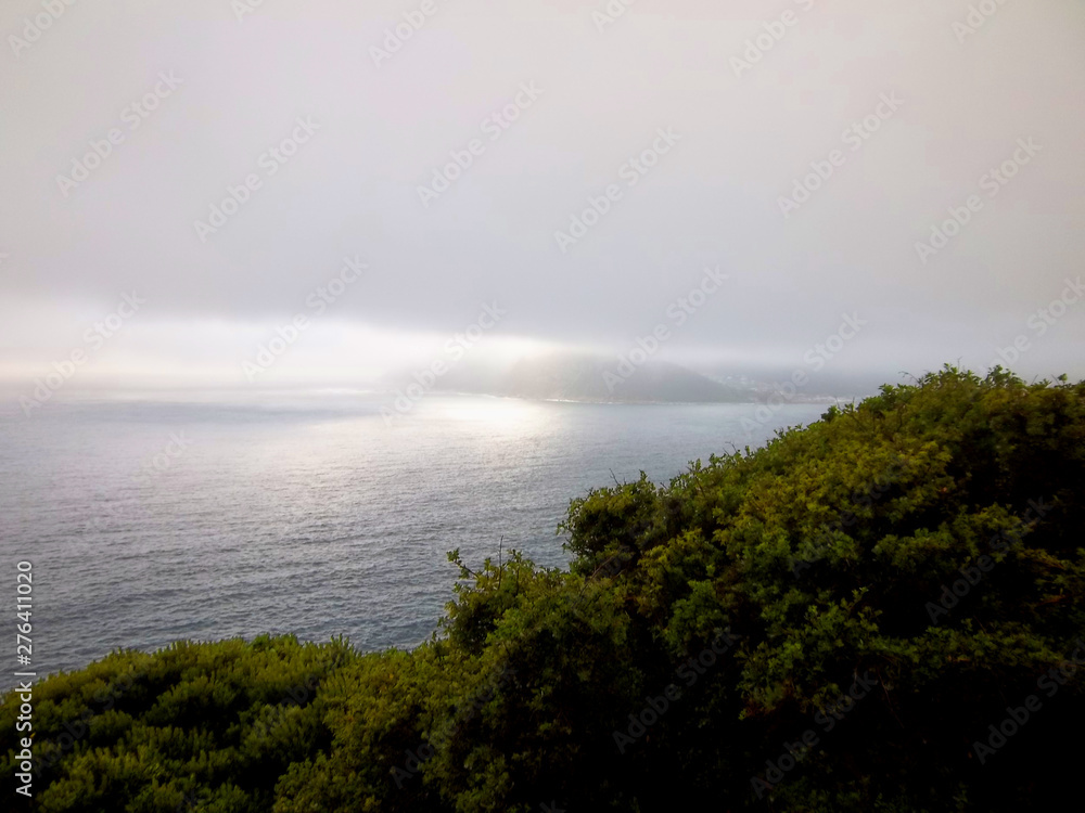 Misty Shoreline 