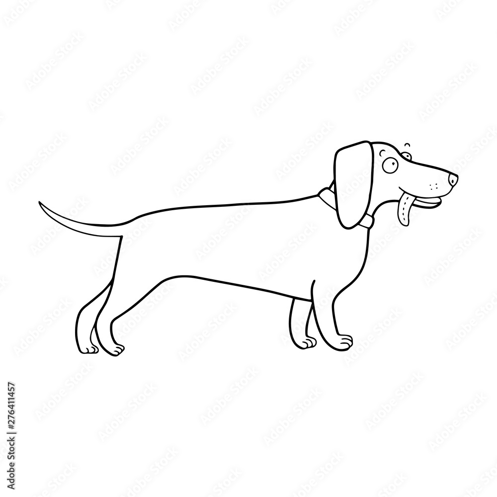 Lovely cute vector dachshund illustration in cartoon style. Black outline drawing perfect for coloring book or page for children or adults.