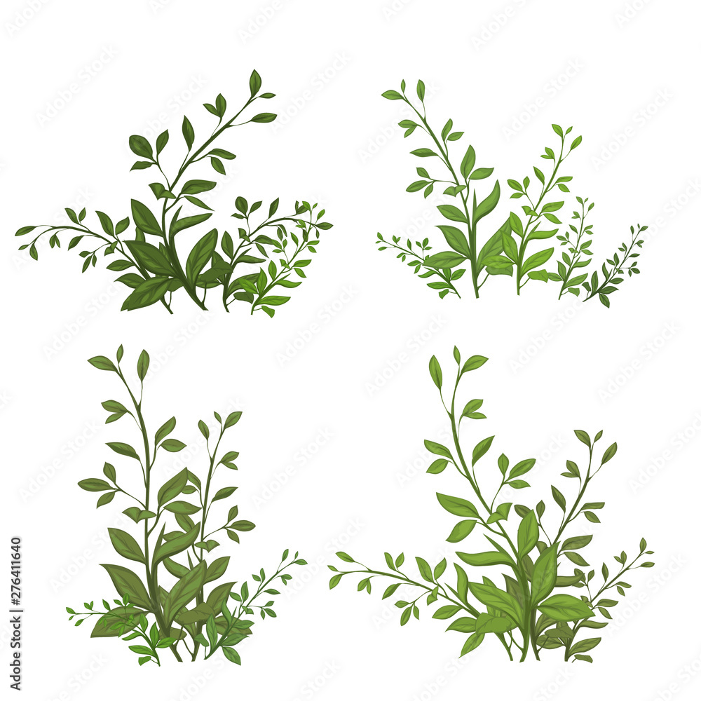 ector A large set of botanical elements - herbs, leaves. Collection of garden ector A large set of botanical elements - herbs, leaves. Collection of garden