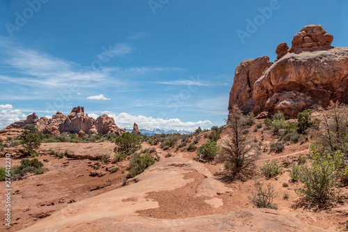 Majestic Path View at Arches National Park