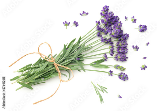 Lavender Flowers Bunch Isolated On White Background