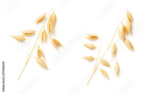 Oat Plants Isolated On White Background