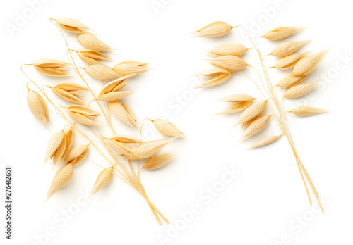 Oat Plants Isolated On White Background