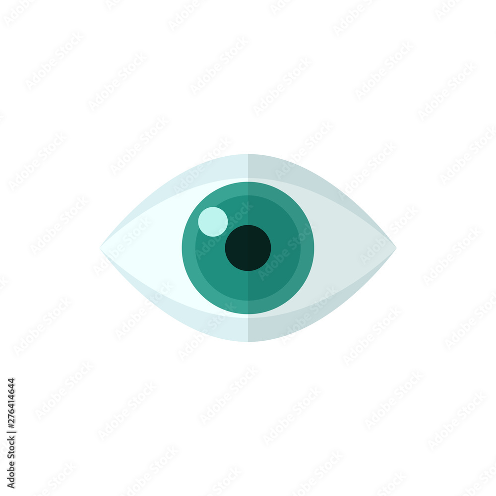 eye flat vector icon eye flat vector icon