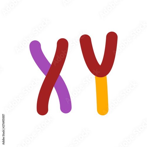 chromosomes flat vector icon