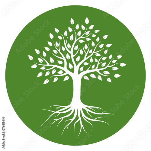 Silhouette of a tree with roots and leaves in circle. White color on green background. Vector illustration logo.