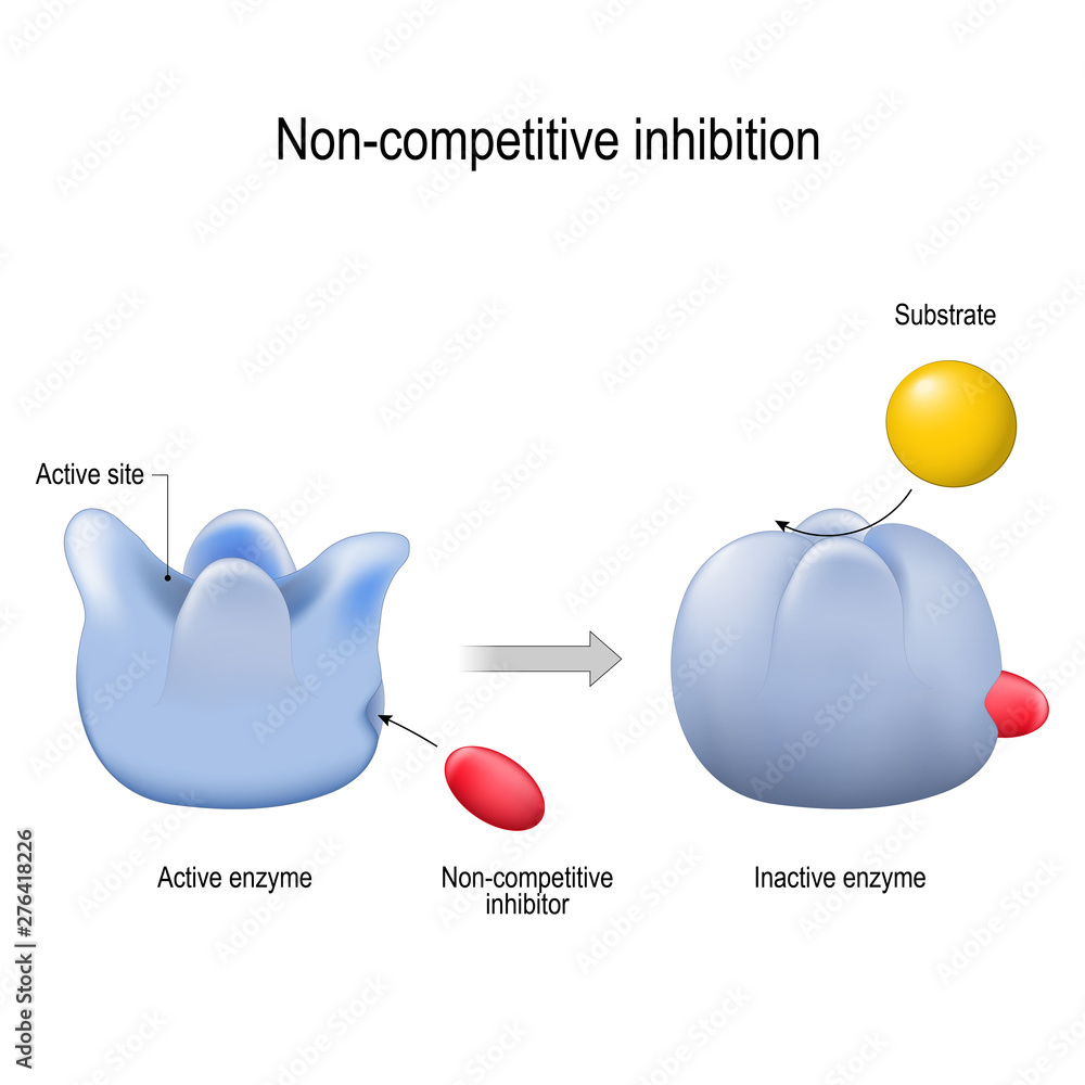 enzyme. Non-competitive inhibition. inhibitor is a molecule - obrazy, fototapety, plakaty 