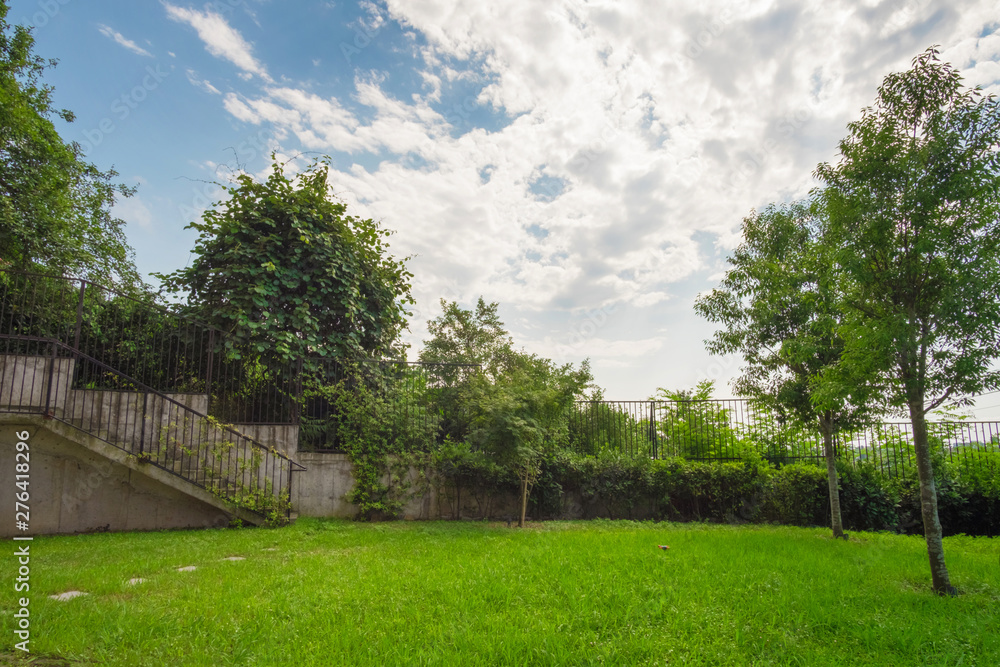 Green fenced backyard with trees